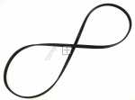 Poly v belt - C00387859 481281728274 Poly-v-belt [Whirlpool Indesit]
