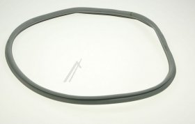 Felt Sealing - 90470063 Front Ring Assembly [Candy Hoover]