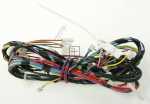 Harness - 11004455 Cable Harness [Bosch Siemens]